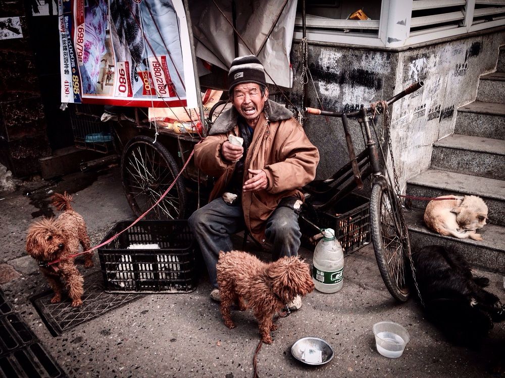 A tramp/китайский бездомный