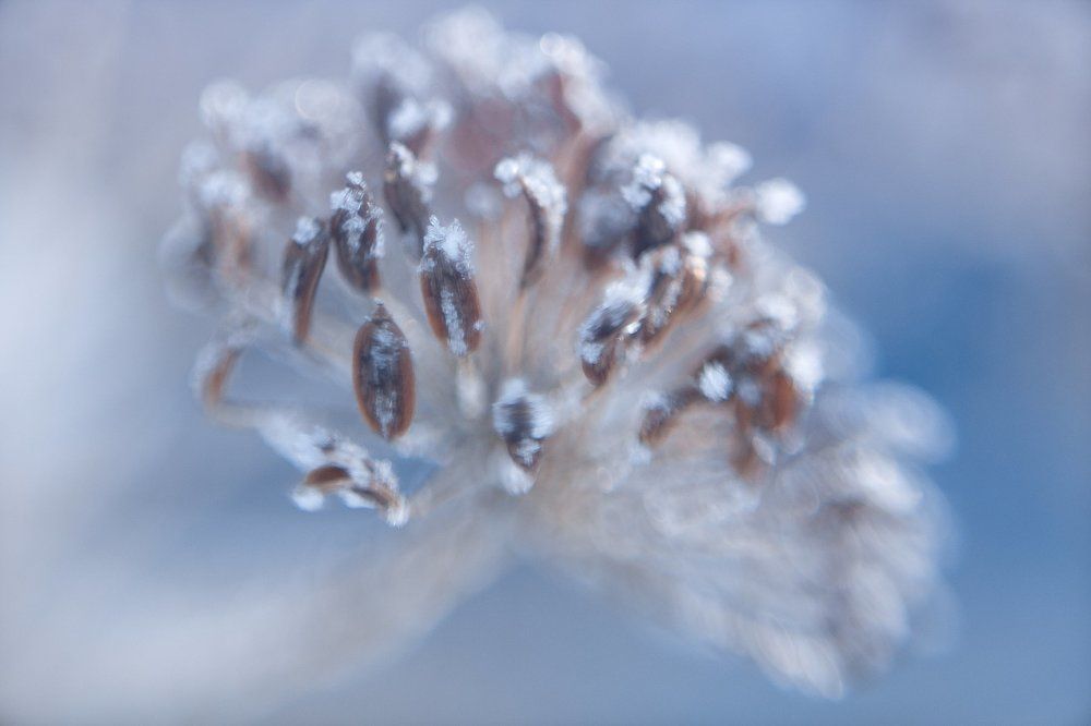 Photograph by Тимеркаев Денис