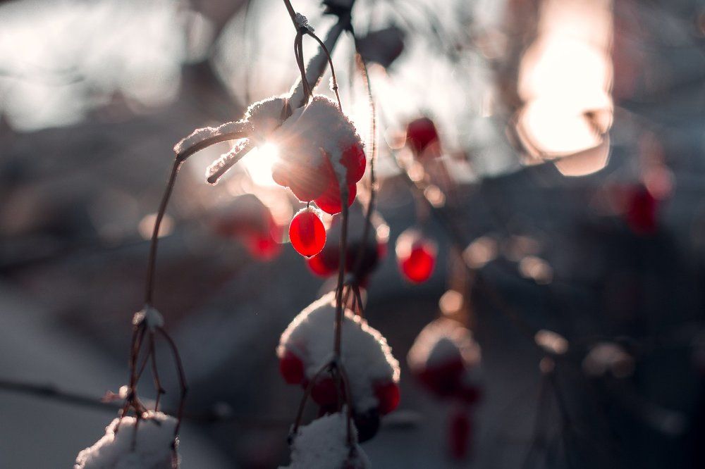 Photograph by Тимеркаев Денис