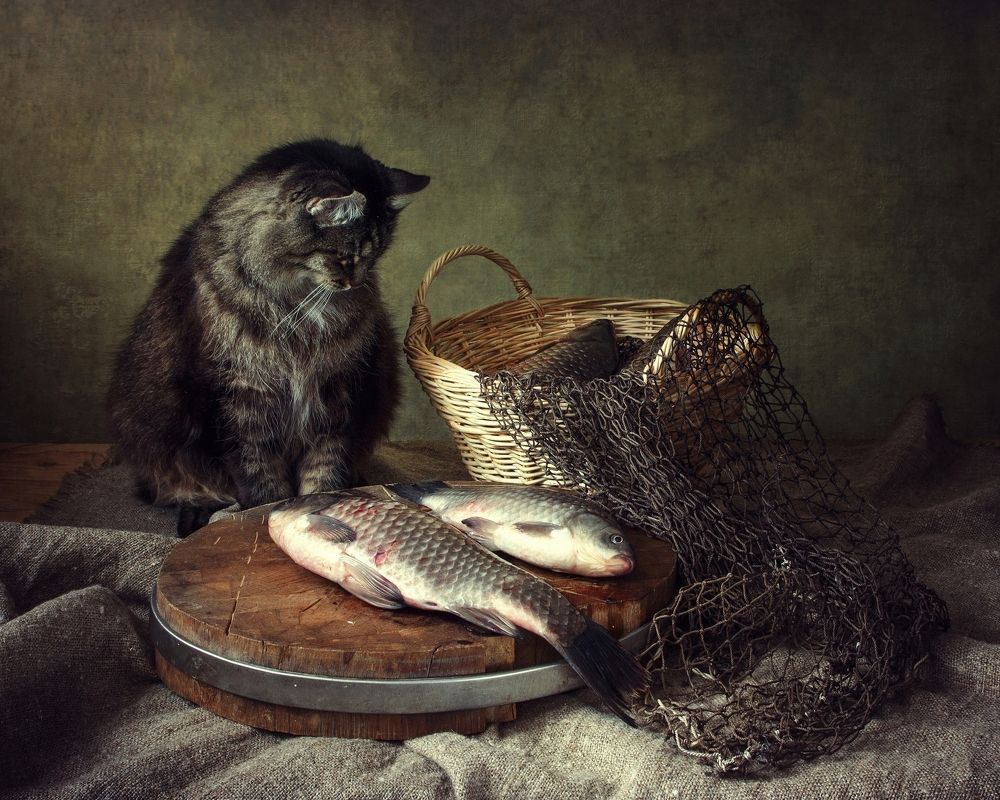 Рыбы много не бывает