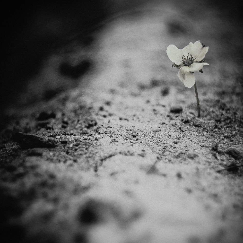 Возможности-мы сами