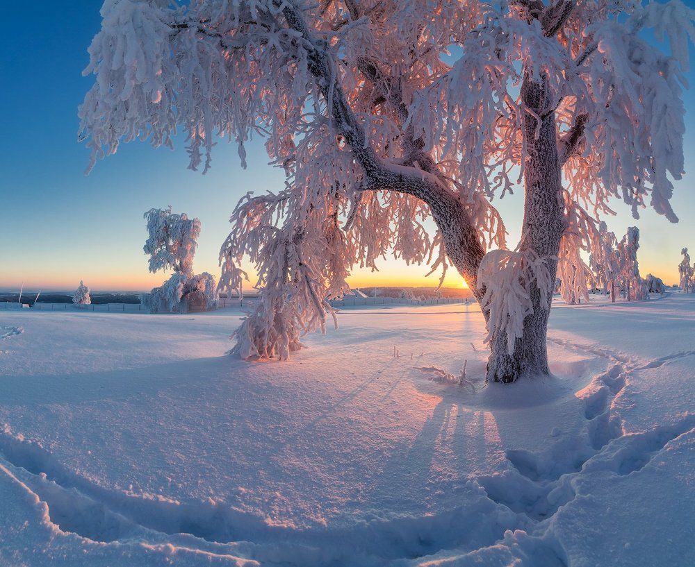 Чудеса Белой горы