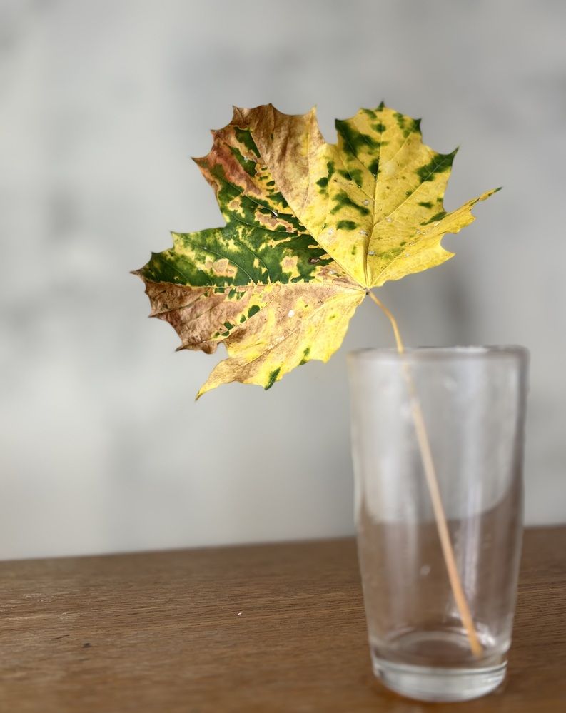 Photograph by Титаренко Людмила