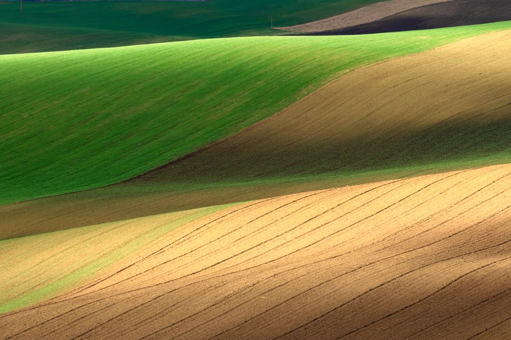 Photograph by Евгения Чех