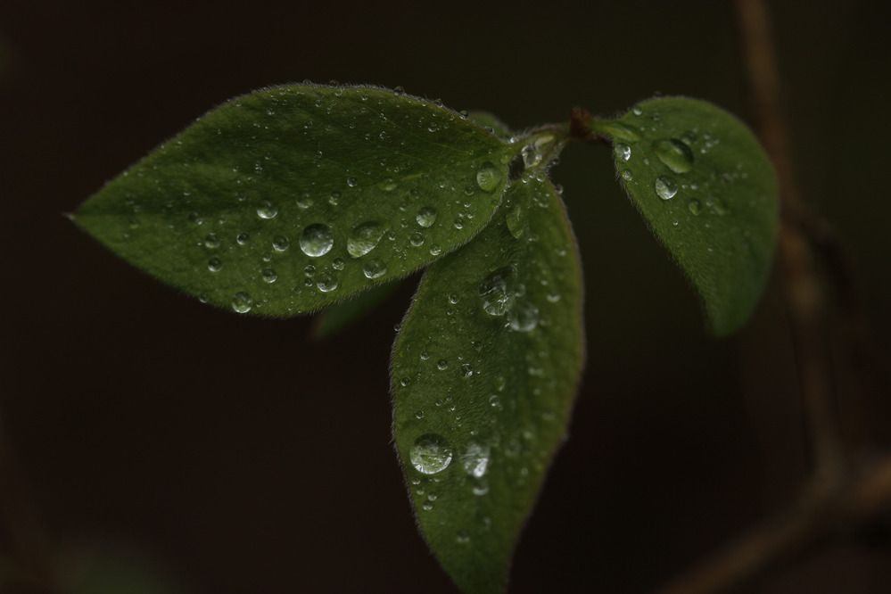 Photograph by Анна-Лаймуте Милошевич