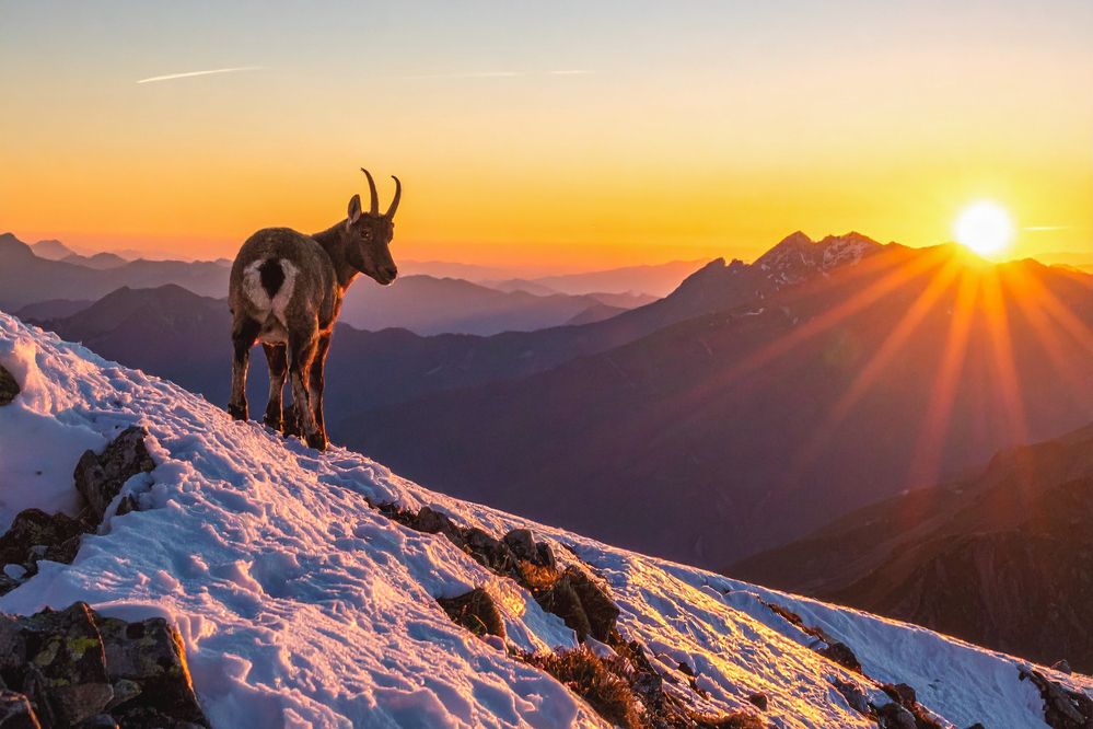 Photograph by БОРИС БЕЛКАНИЯ