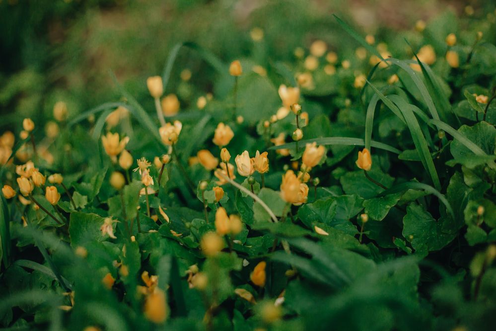 Photograph by Софья Титова