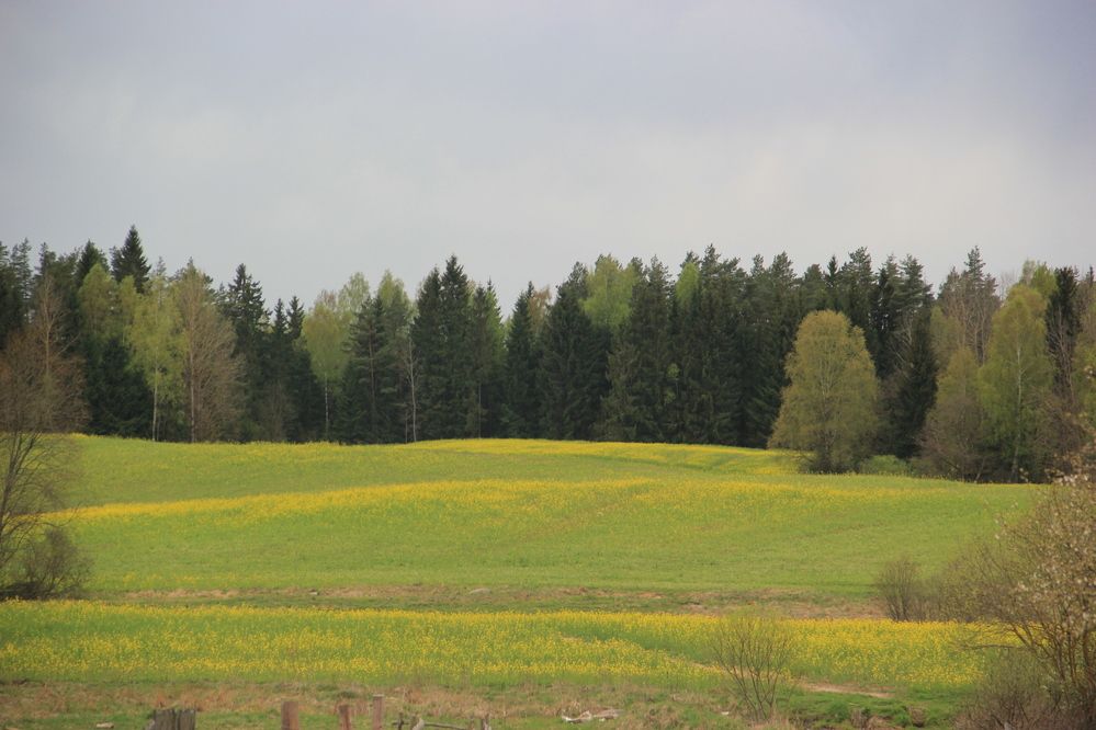 Photograph by Анна-Лаймуте Милошевич