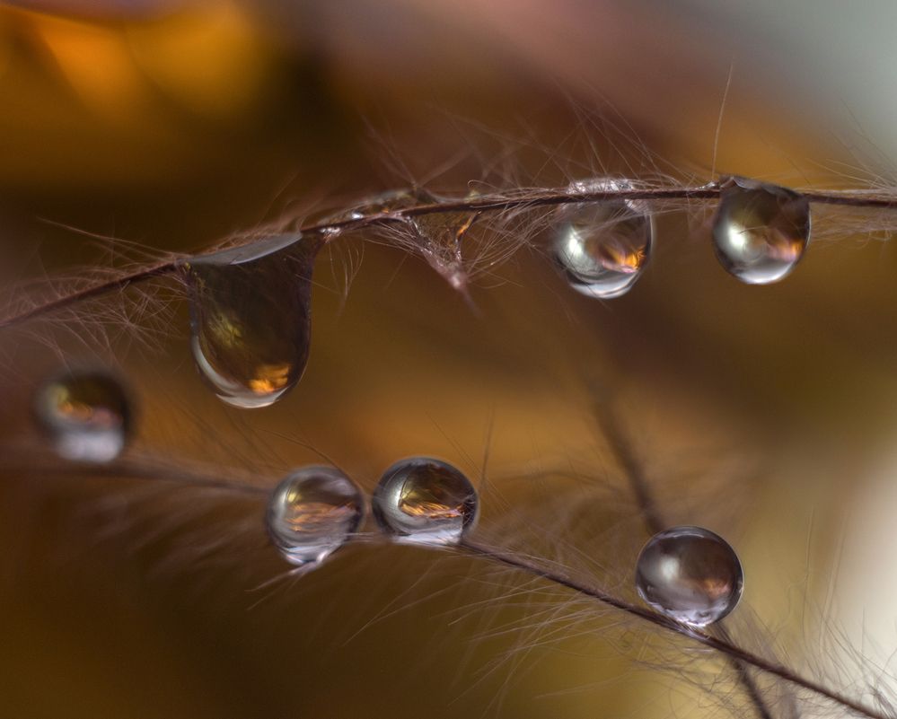 Photograph by Шипунова Ирина