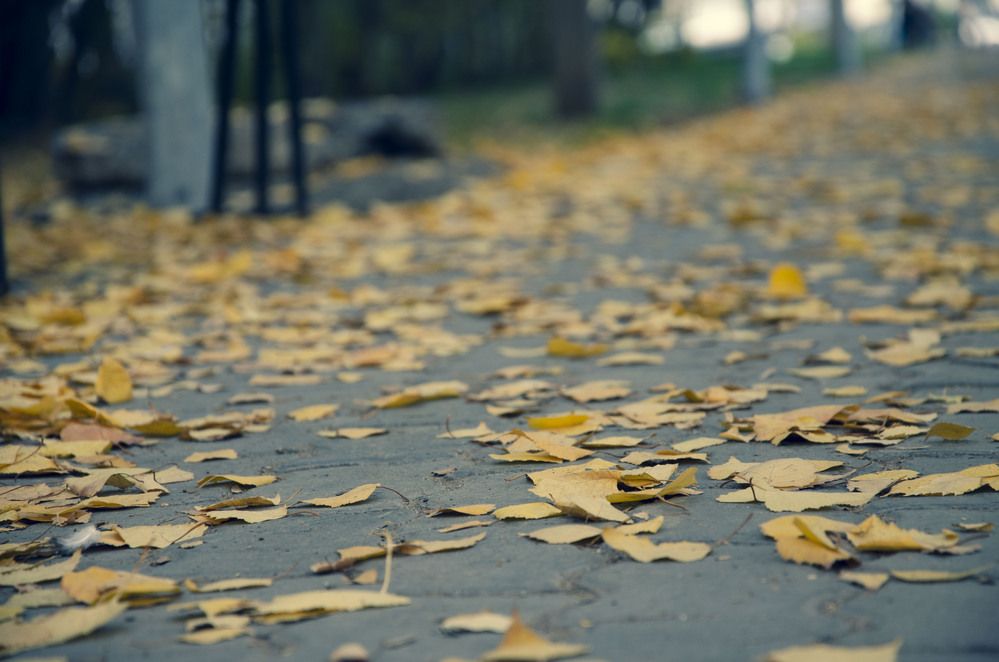 Photograph by Ульяна Бедрицкая