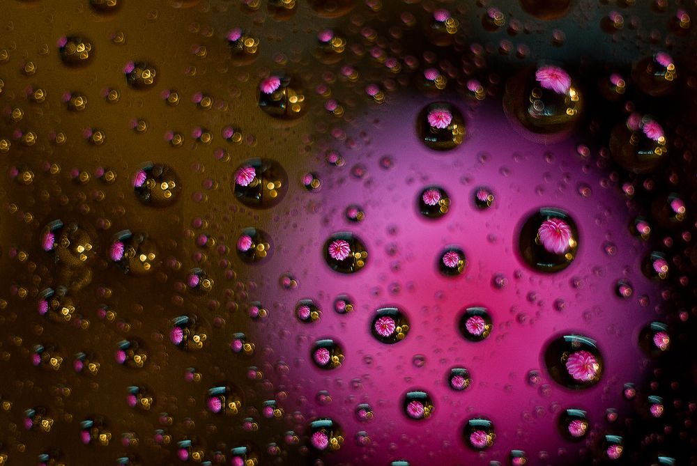 Photograph by Виктория Уварова