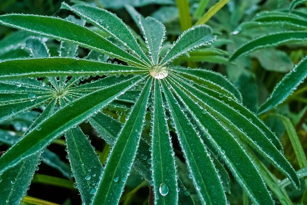 Photograph by Валерий Клейменов