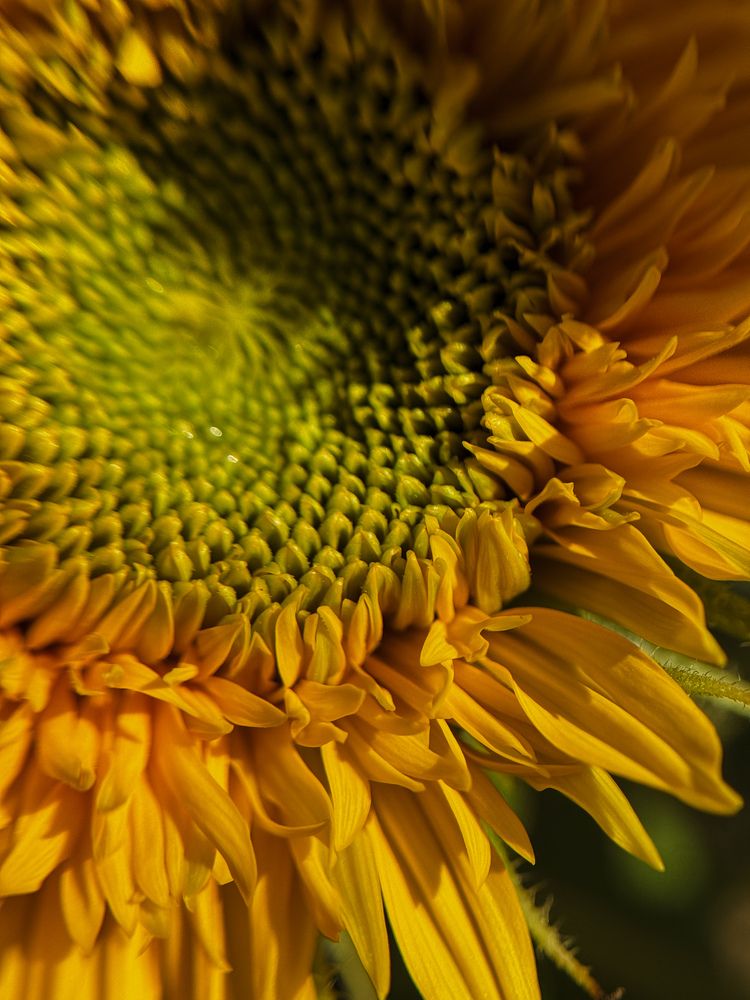 Photograph by Алиса Чугунова