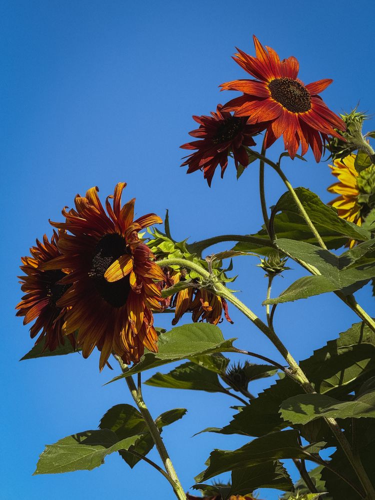 Photograph by Алиса Чугунова