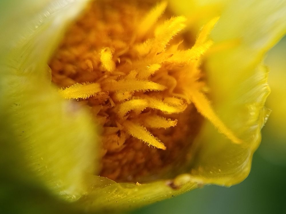 Photograph by Лилия