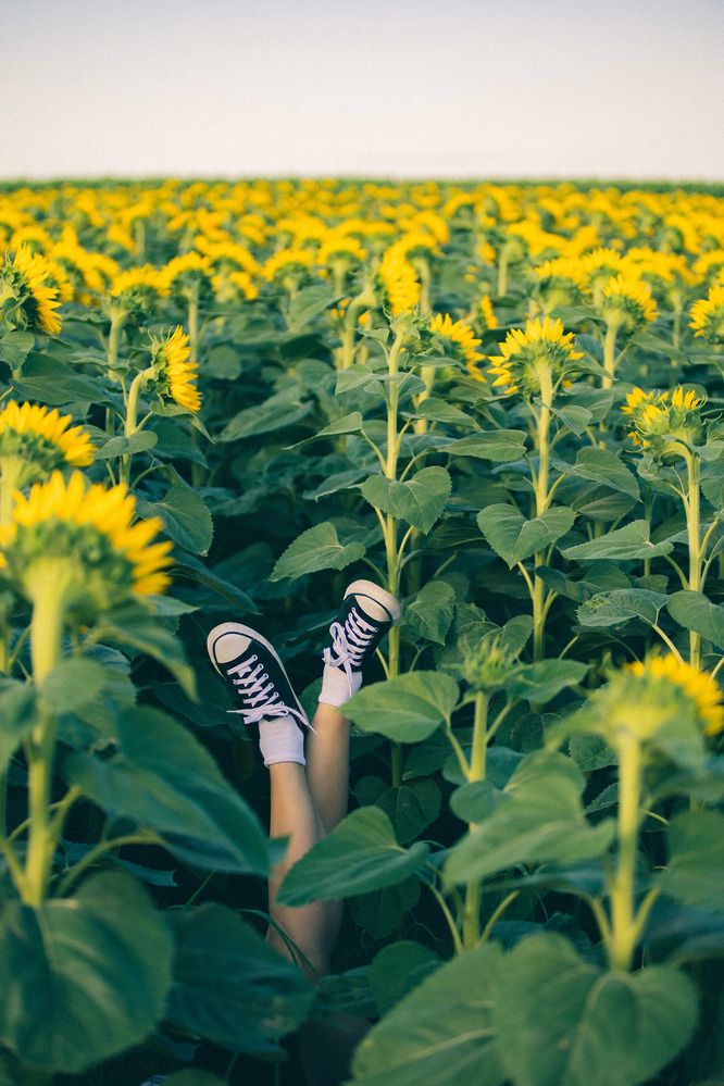 Photograph by Анастасия Оранжевая