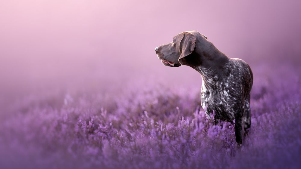 Photograph by Marie Šimková