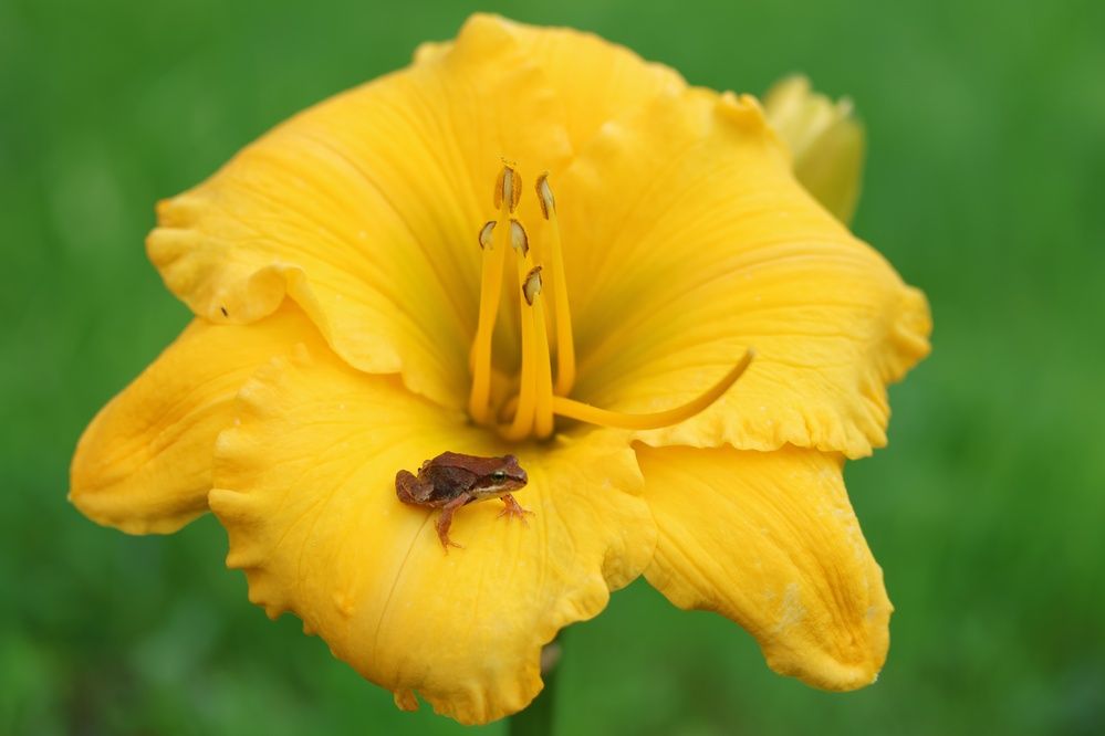 Photograph by Наталья Гайдукевич