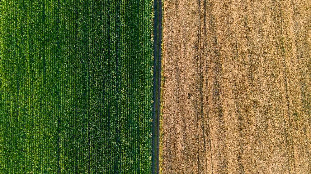 Photograph by Кузнецов Александр