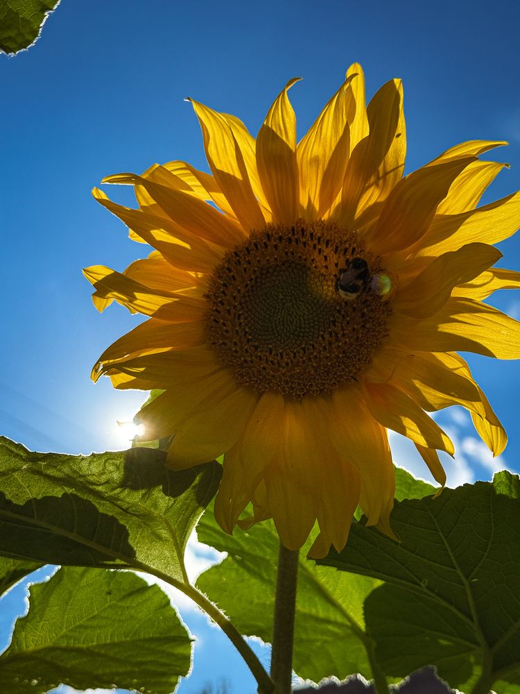 Photograph by Алиса Чугунова