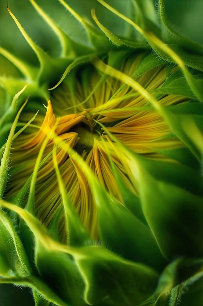 Photograph by Оксана Вадалагина