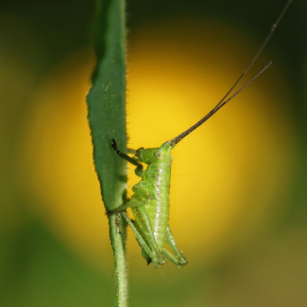 Photograph by Наталья Гайдукевич