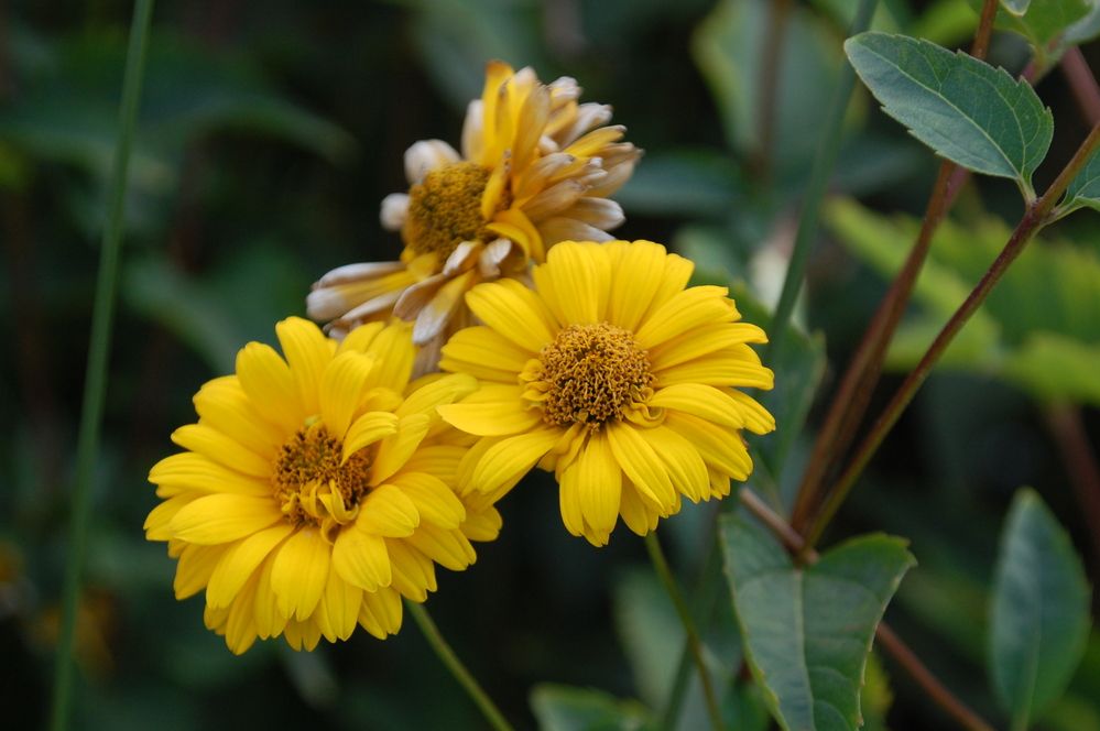 Photograph by Владислав Рубцов