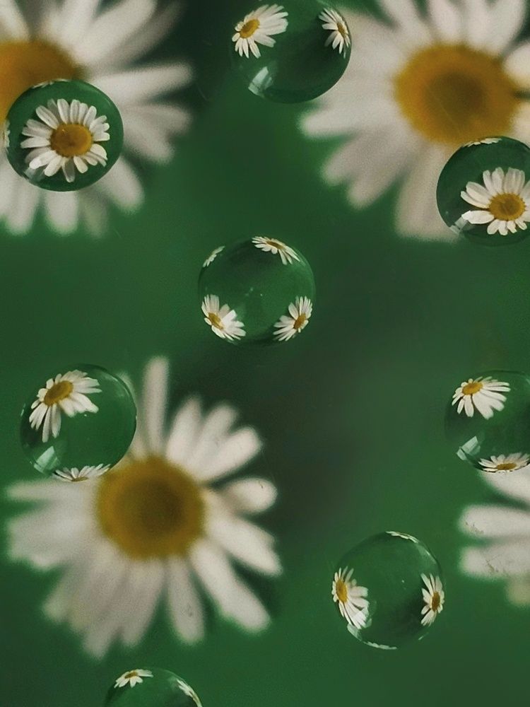 Photograph by Ольга Захарикова