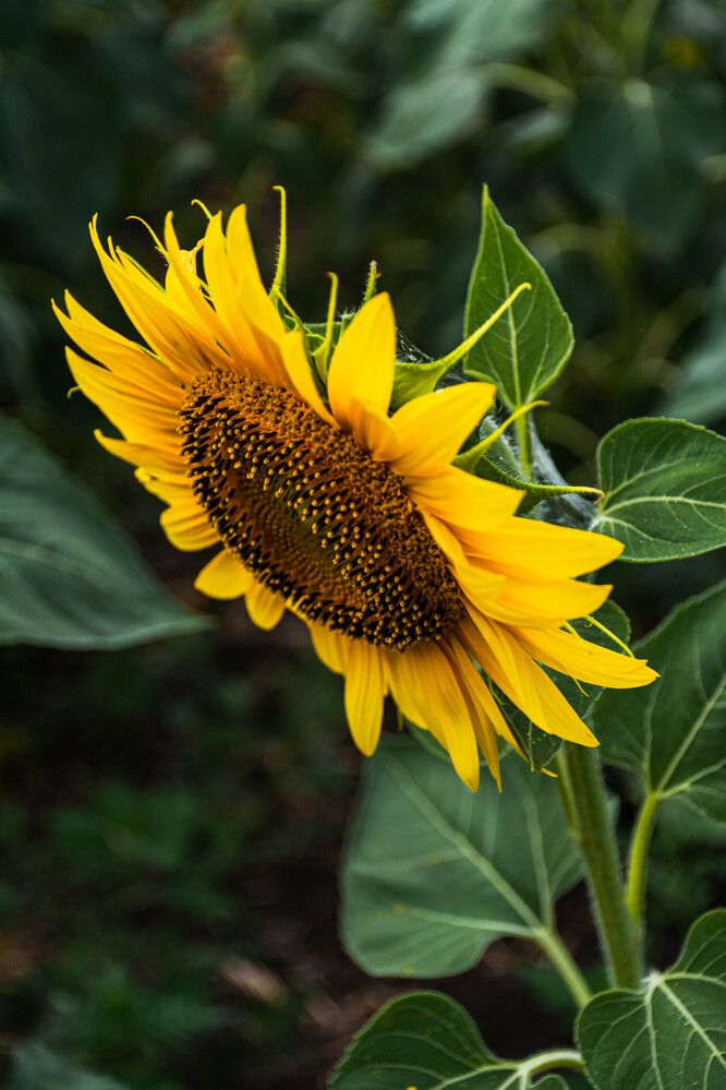 Photograph by Людмила Баймухаметова