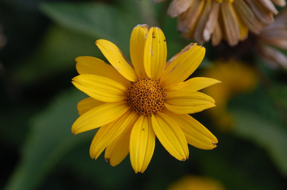 Photograph by Владислав Рубцов