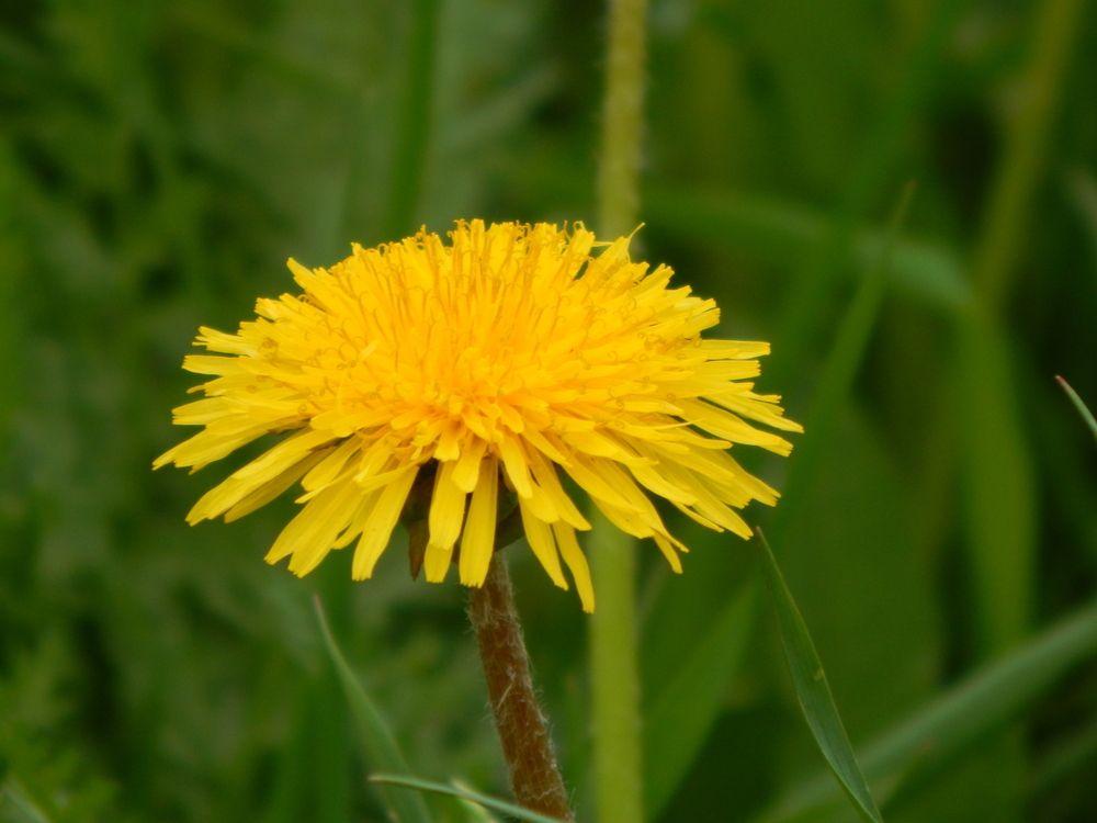 Photograph by Ирина Самойленко