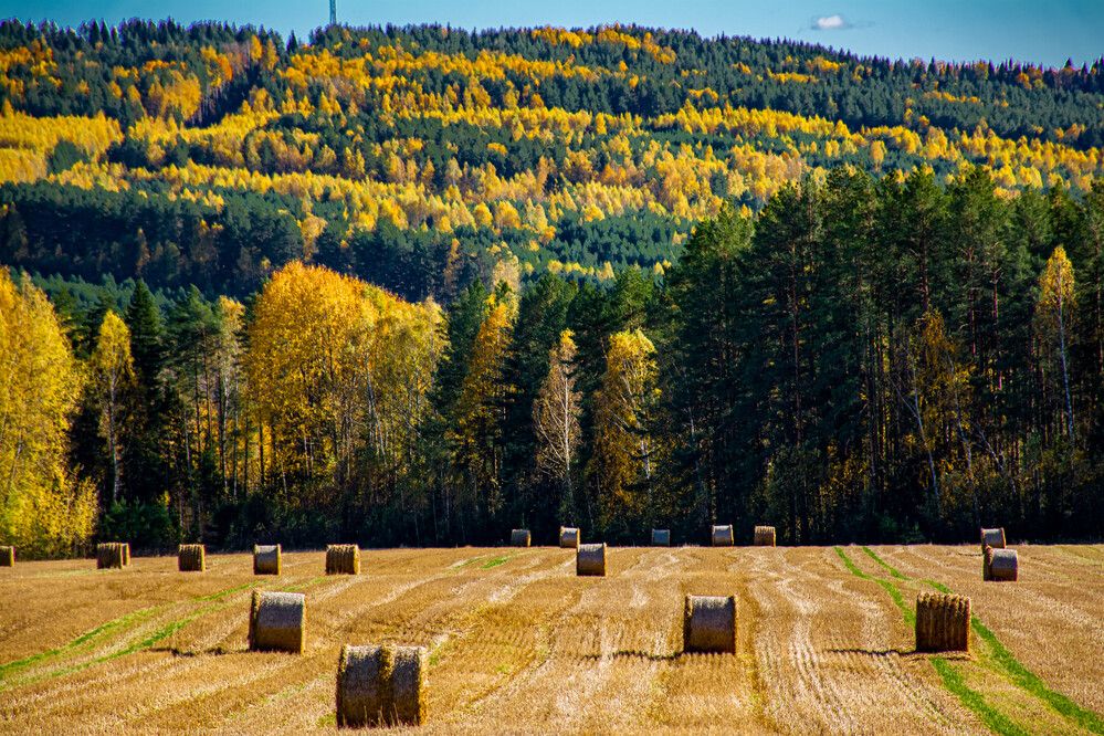 Photograph by Людмила Баймухаметова