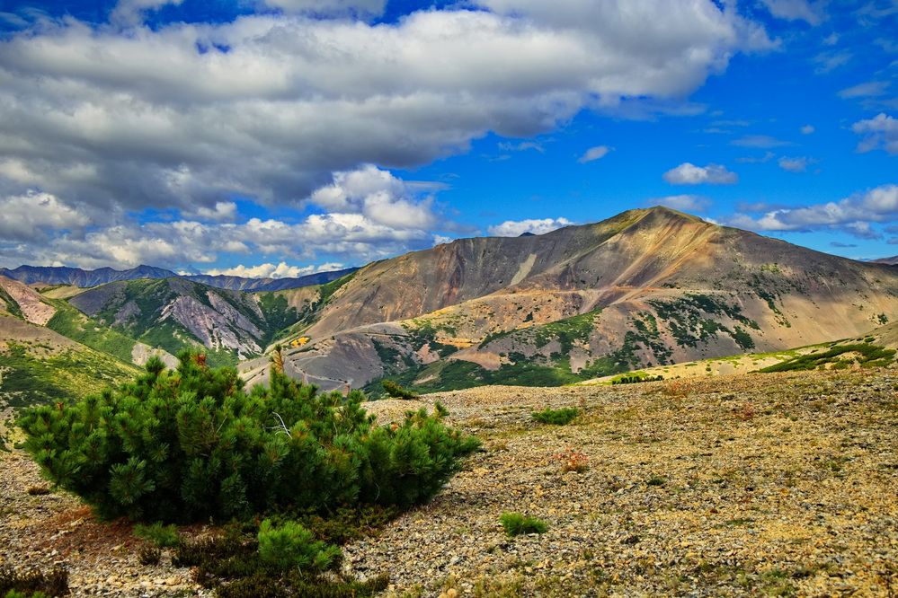 Photograph by Олег Раков