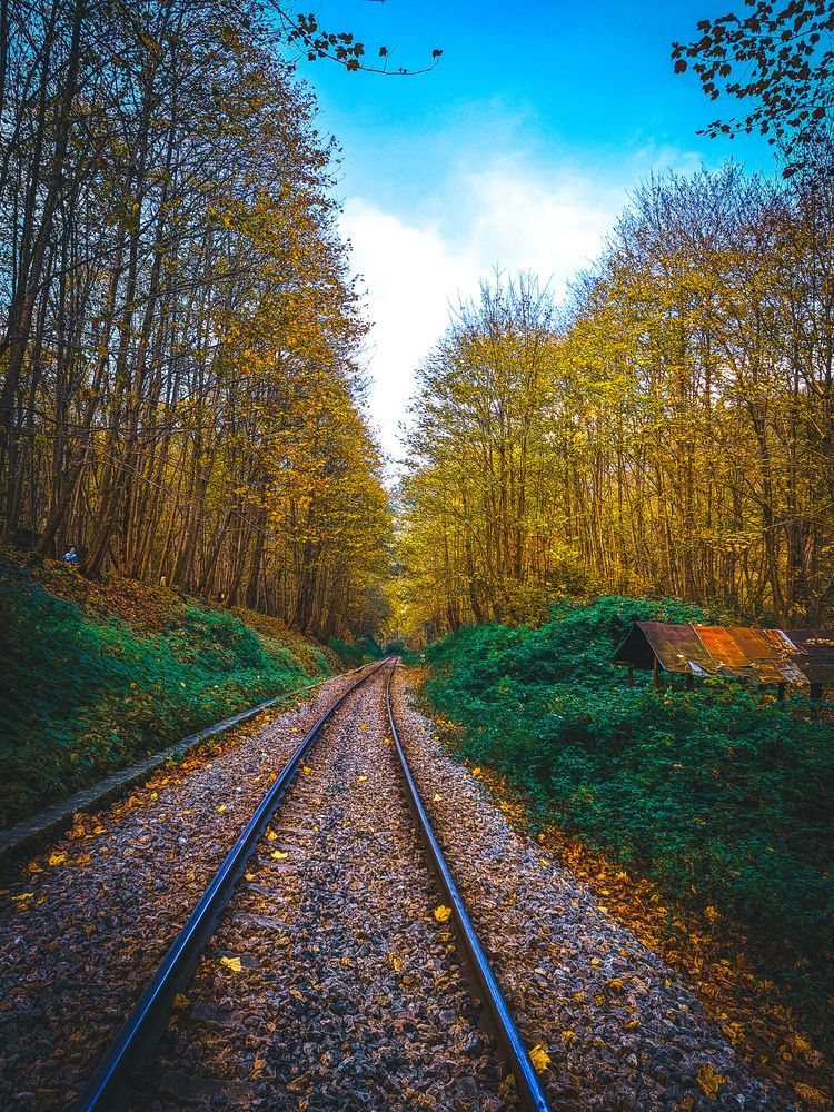 Photograph by Shahrzad Shahrokhi