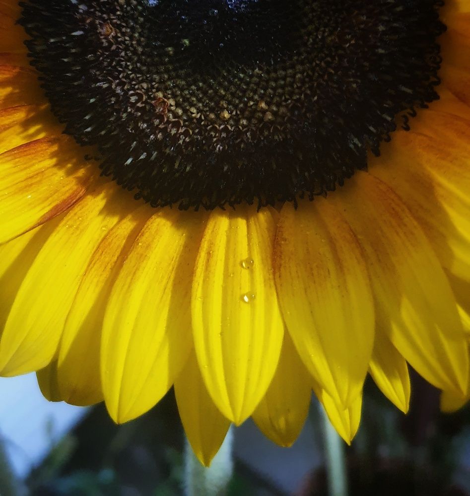 Фотография автора Марина