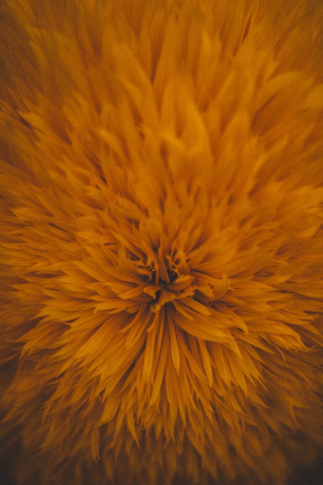 Photograph by Виктория Фирсова