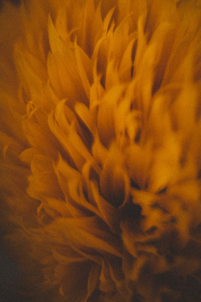 Photograph by Виктория Фирсова