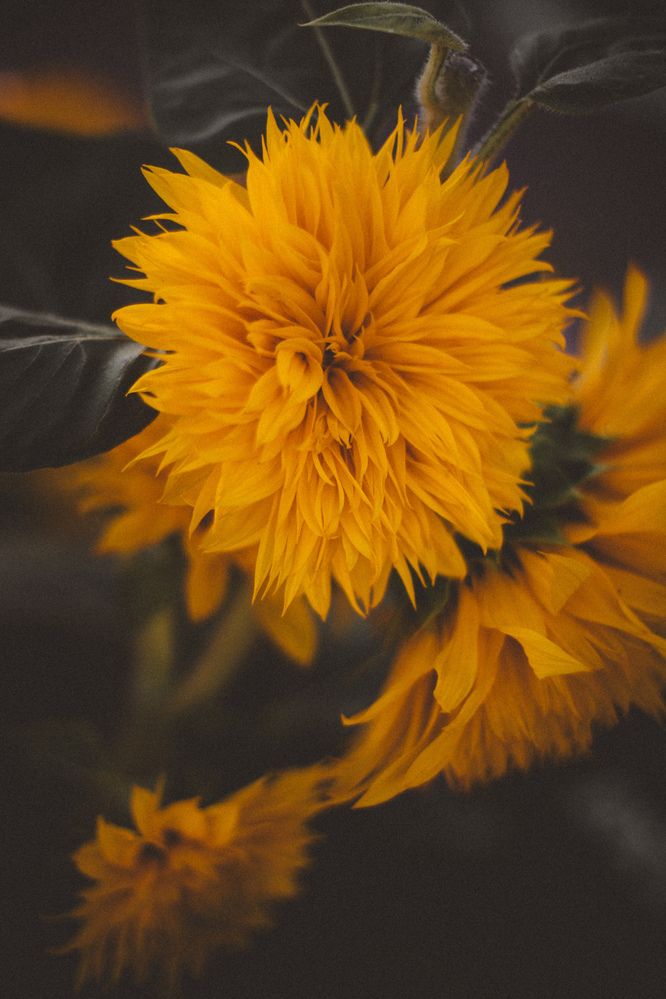 Photograph by Виктория Фирсова