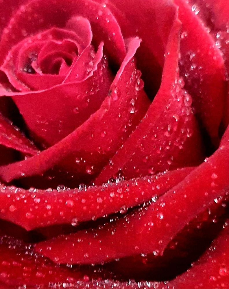 Фотография автора Марина