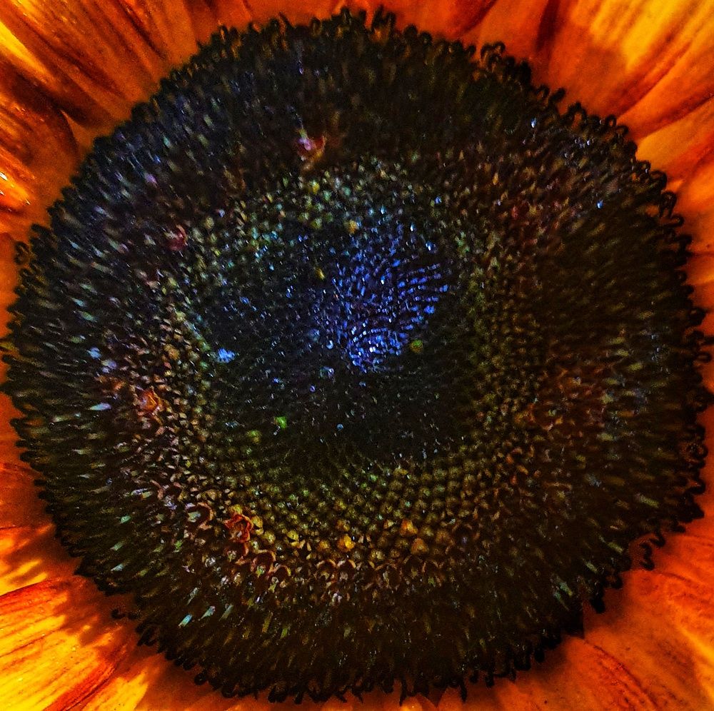 Фотография автора Марина