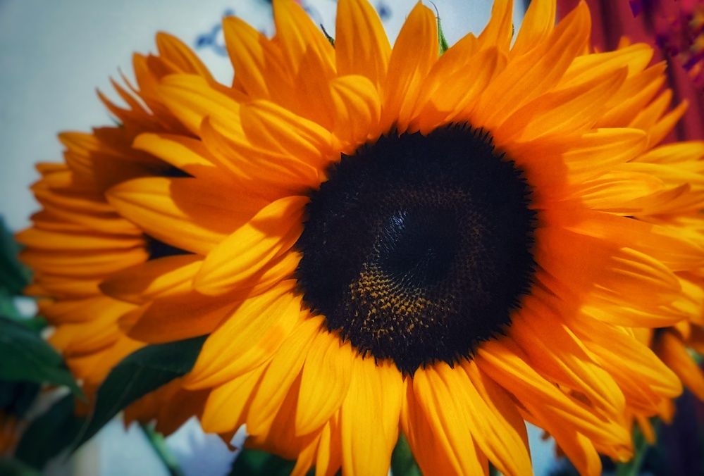 Фотография автора Марина