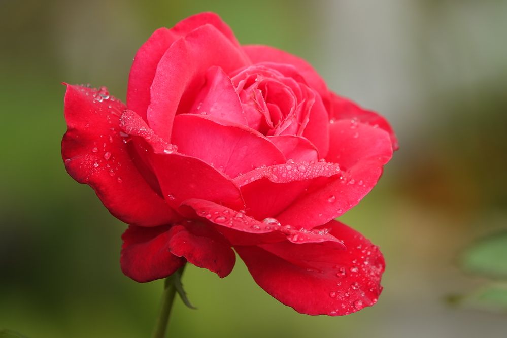 Photograph by Zakharov Matvey