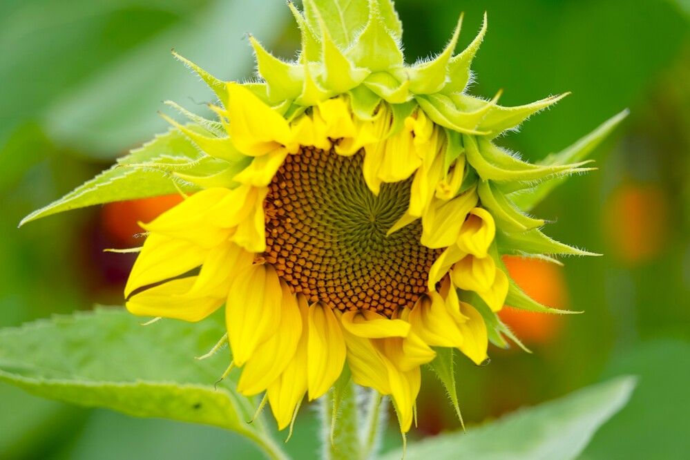 Photograph by Zakharov Matvey