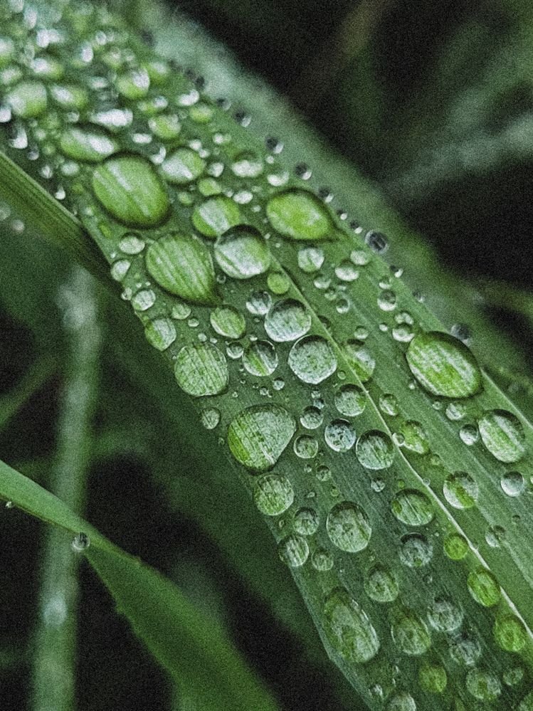 Фотография автора Казакова Людмила Ивановна