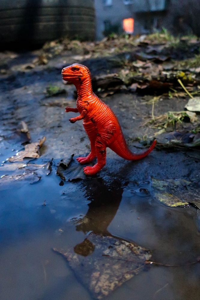 Photograph by Анастасия Гурова