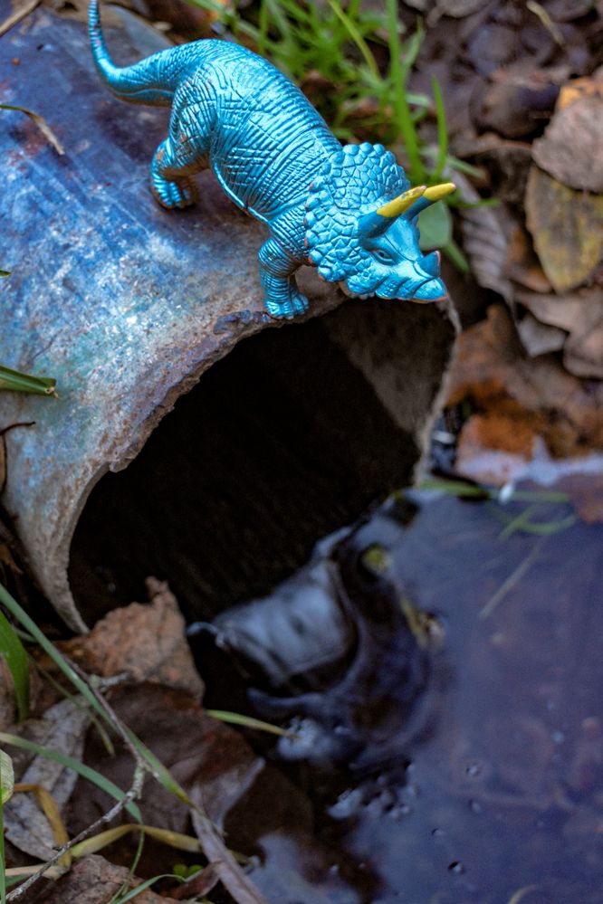 Photograph by Анастасия Гурова