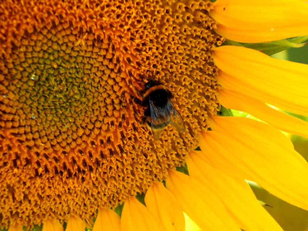 Photograph by Ирина Самойленко