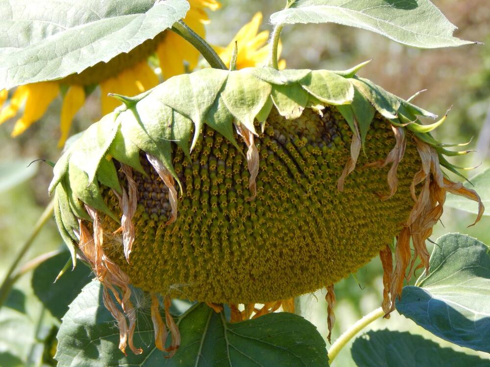 Photograph by Ирина Самойленко