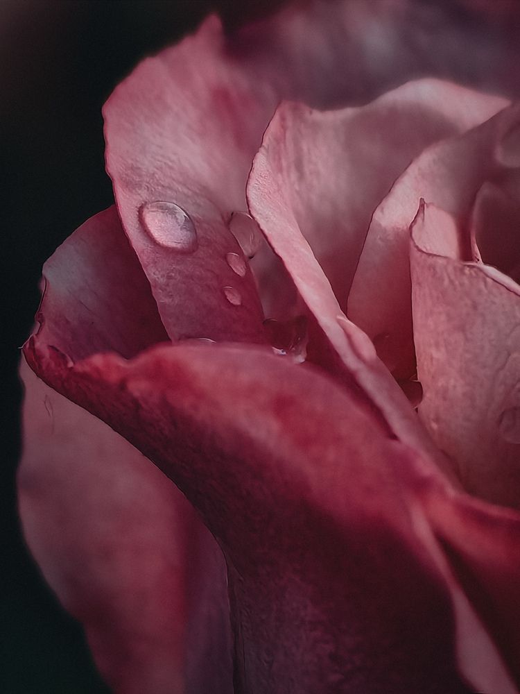 Photograph by Татьяна Котова