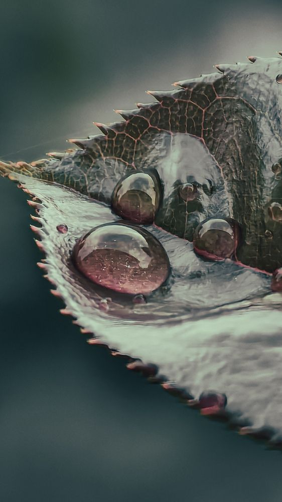 Photograph by Татьяна Котова